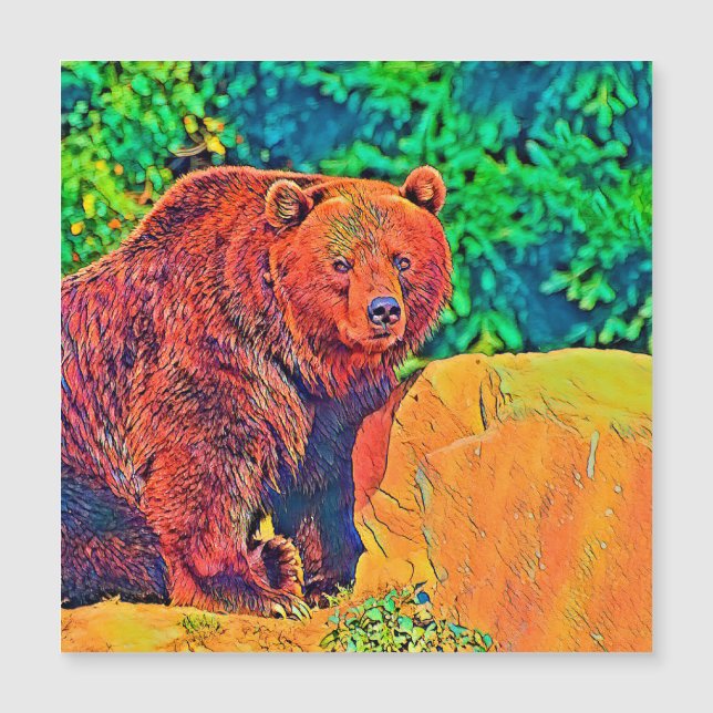 AnimalColor_Bear_001 (Anverso)