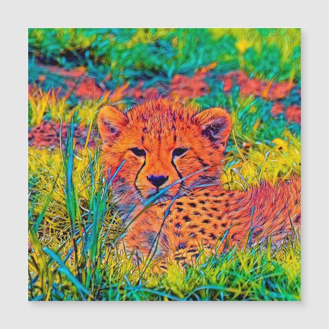 AnimalColor_Cheetah_017 (Anverso)
