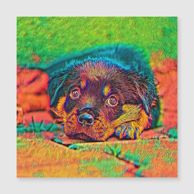 AnimalColor_Dog_002 (Anverso)