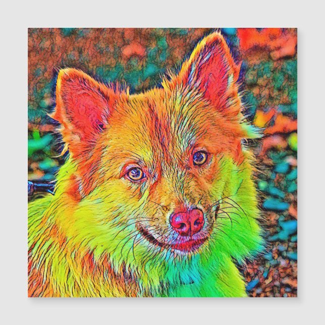 AnimalColor_Dog_020 (Anverso)