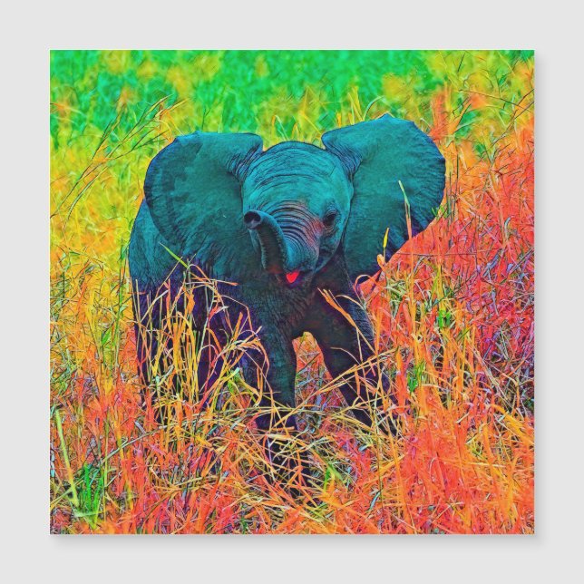 AnimalColor_Elephant_002 (Anverso)