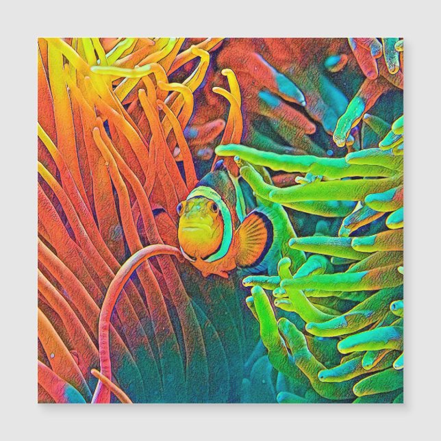 AnimalColor_Fish_001 (Anverso)