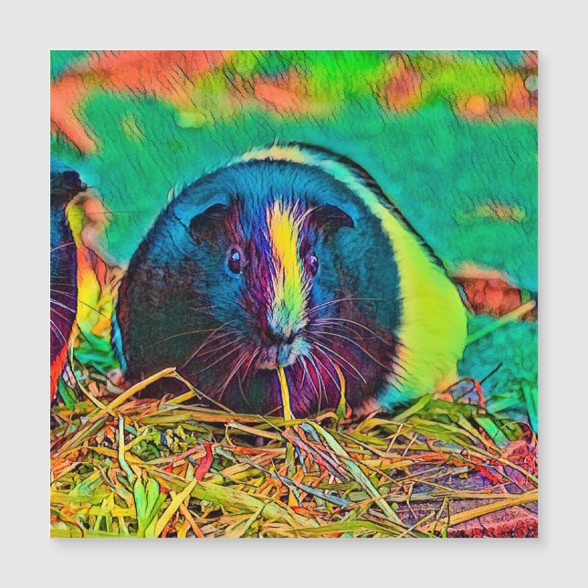 AnimalColor_Guineapig_002 (Anverso)