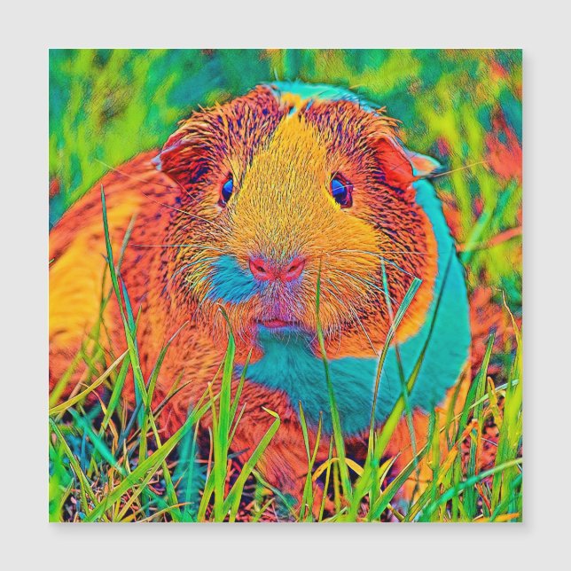 AnimalColor_Guineapig_017 (Anverso)