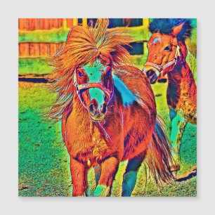 AnimalColor_Horse_001