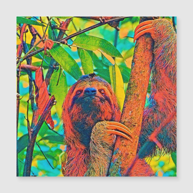 AnimalColor_Sloth_003 (Anverso)