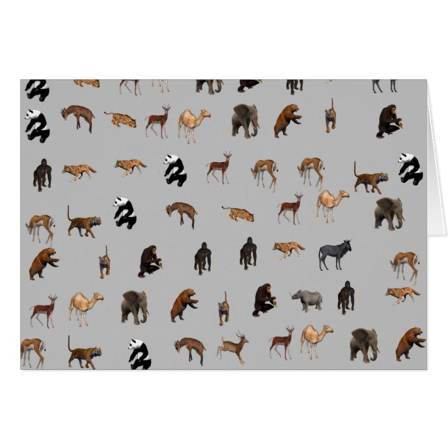 Animales (Anverso (Horizontal))