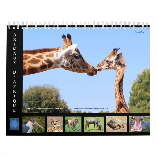 Animales africanos calendario de 12 meses (Tapa)