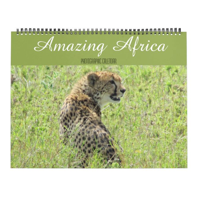 animales africanos calendario grande 2027 (Tapa)