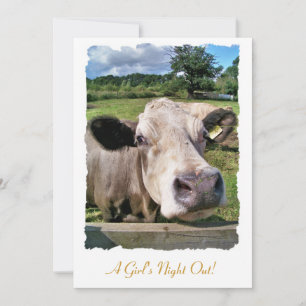 ANIMALES AGRÍCOLAS, VACAS CUTAS