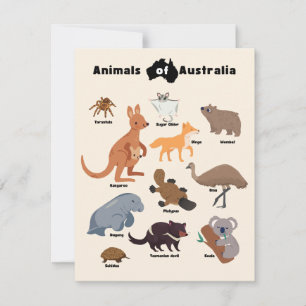 Animales de Australia Aussie Wildlife