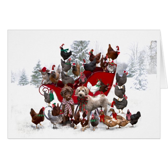 ANIMALES DE BARNYARD CON TARJETA DE NAVIDADES LIGE (Anverso (Horizontal))