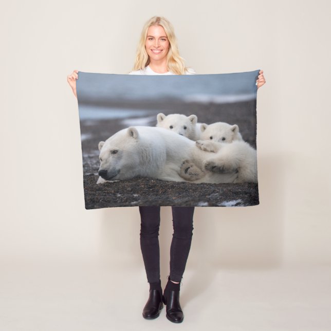 Animales de bebé más afectados | Familia Oso Polar (In situ)