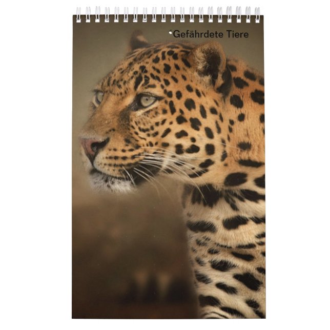 Animales de caza como calendarios (Tapa)