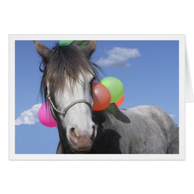 Animales de fiesta (Anverso (Horizontal))