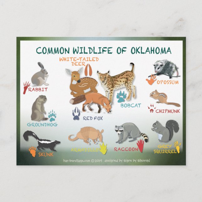 animales de la postal de Oklahoma 19 (Anverso)
