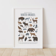 Animales de Vida Silvestre del Bosque Decoración p