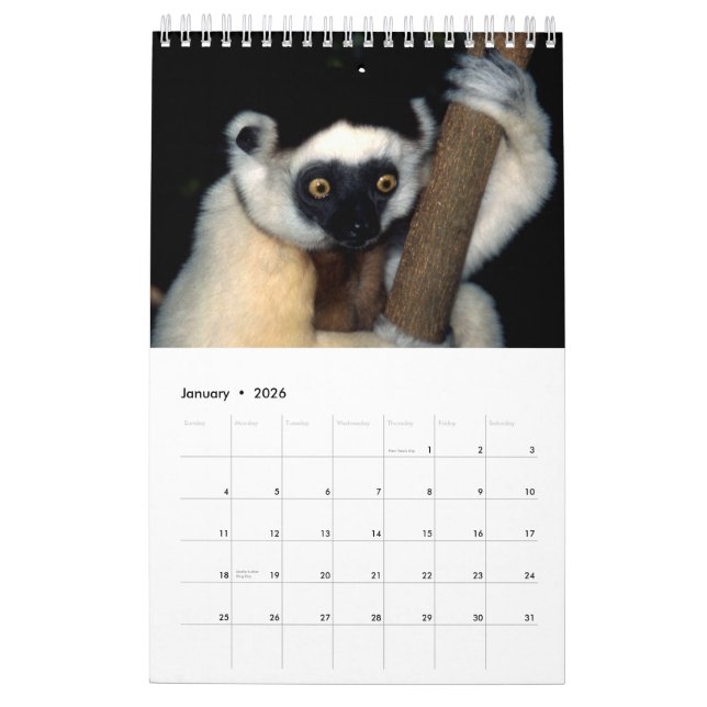 ANIMALES del calendario 2015 1-Pg. de África (Jan 2026)