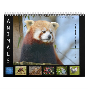 Animales del calendario a los 12 meses