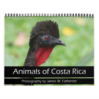 Animales del calendario de Costa Rica
