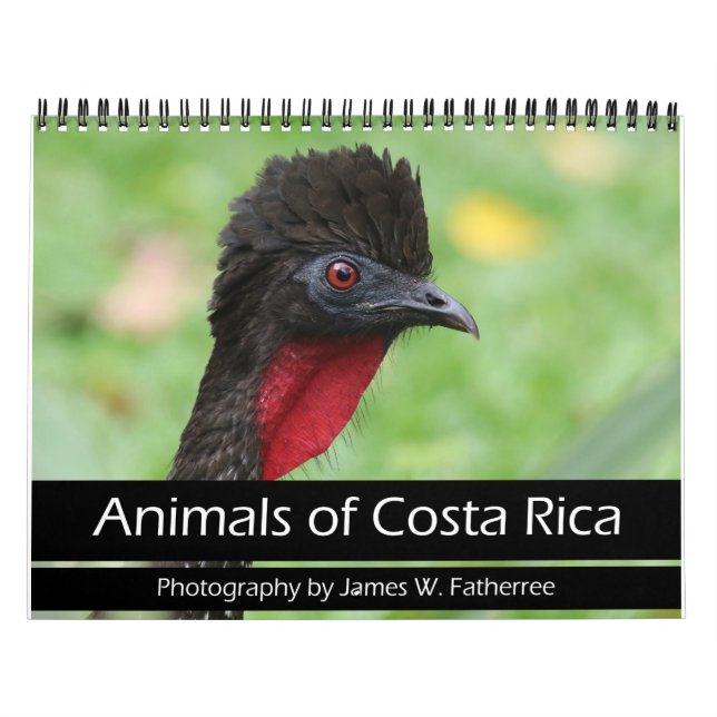 Animales del calendario de Costa Rica (Tapa)