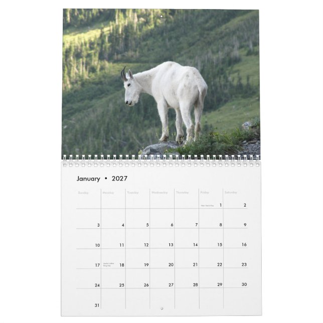 Animales del calendario del Parque Nacional (Jan 2027)