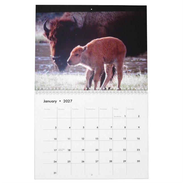 Animales del calendario impreso personalizado de (Jan 2027)