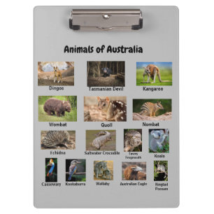 Animales del Portapapeles de Australia