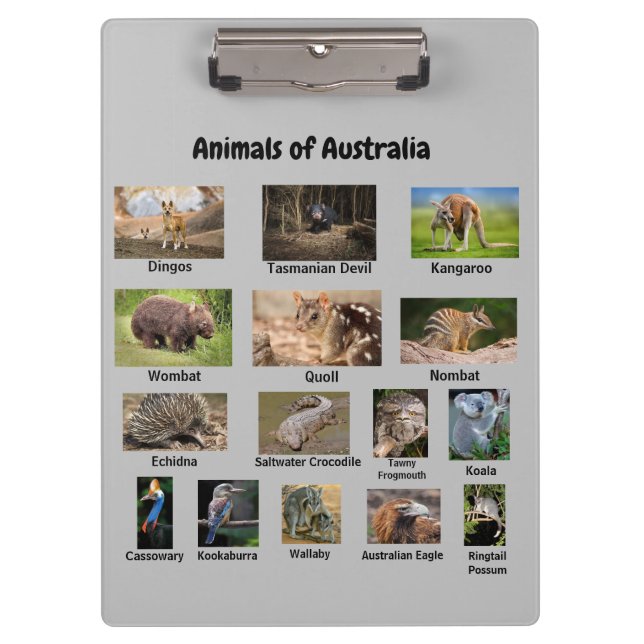 Animales del Portapapeles de Australia (Anverso)