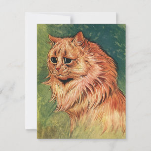Animales domésticos antiguos, gato naranja de pelo