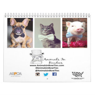 Animales en calendario de las pajaritas 2015