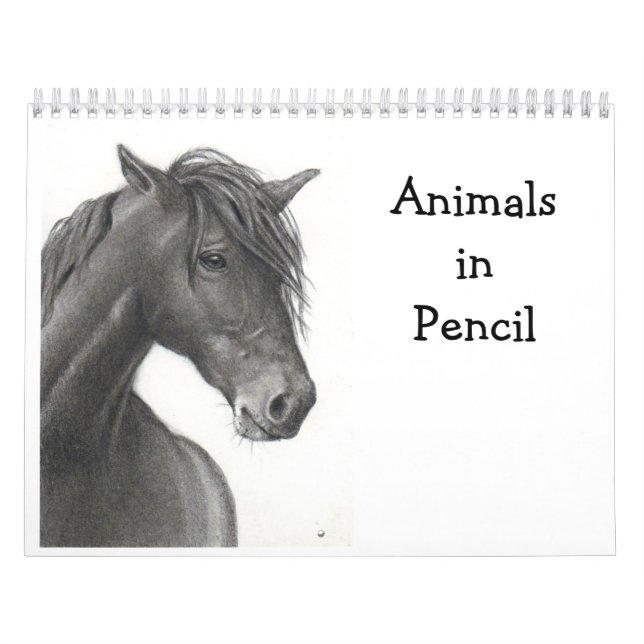 ANIMALES EN LÁPIZ: CALENDARIO DE LOS DIBUJOS DEL (Tapa)