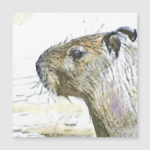 animales fascinantes alterados - Capibara