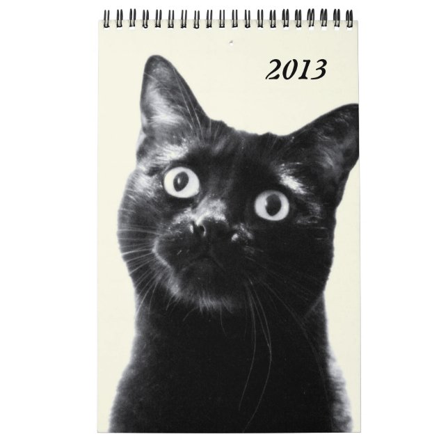 animales hermosos - calendario (sola página) (Tapa)