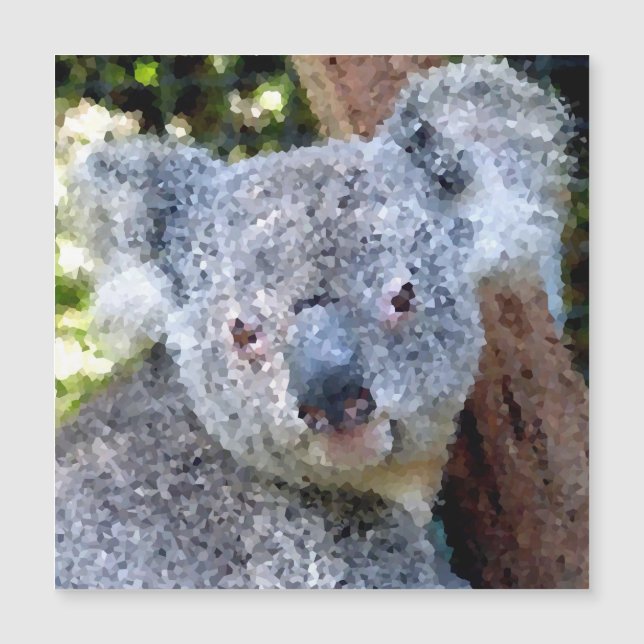 Animales polacos - Koala (Anverso)