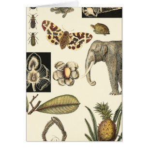 Animales variados pintados de fondo crema