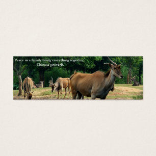 Animales zoológicos. Proverbio chino sobre la paz 