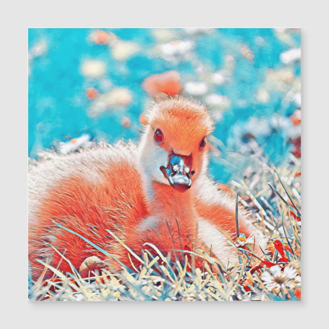 AnimalMix_Bird_019 (Anverso)