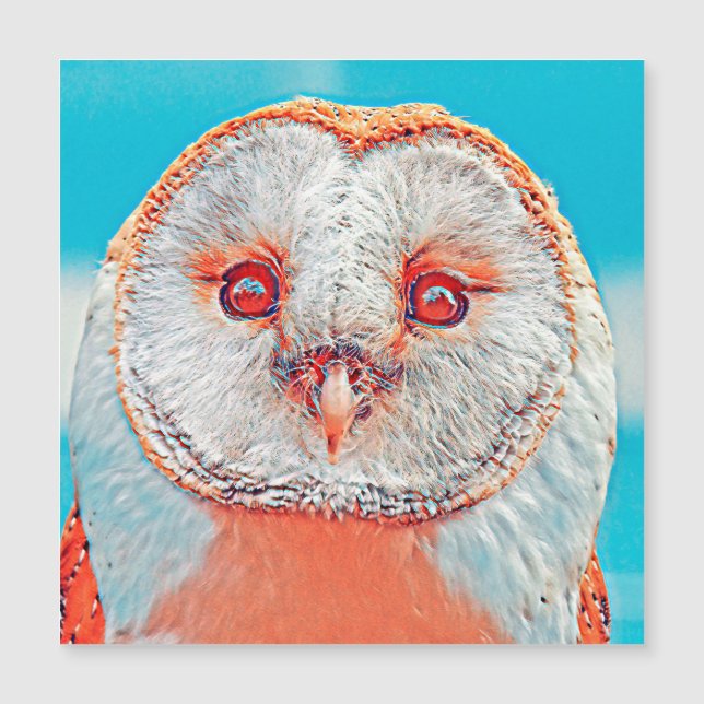 AnimalMix_Bird_023 (Anverso)