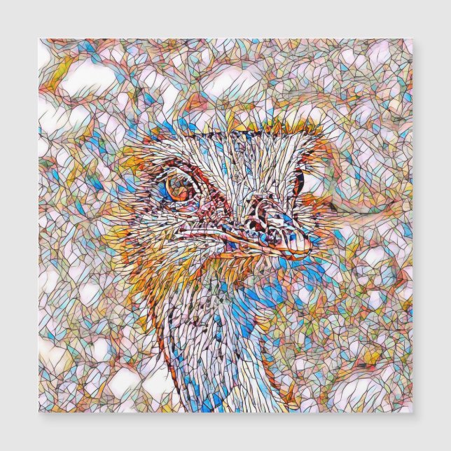 AnimalMix_Bird_042 (Anverso)