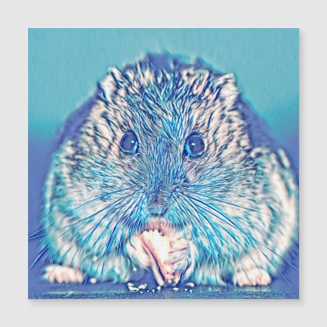 AnimalMix_Hamster_003 (Anverso)