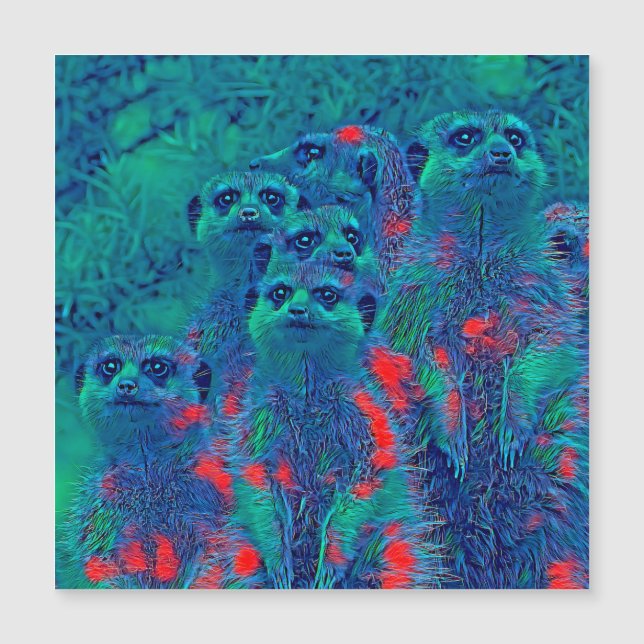 AnimalMix_Meerkat_015 (Anverso)