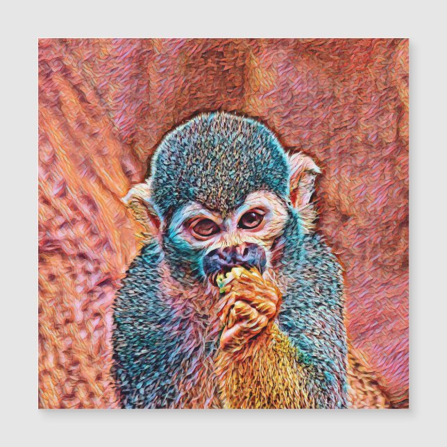 AnimalMix_Monkey_001 (Anverso)