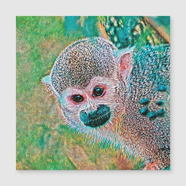 AnimalMix_Monkey_010 (Anverso)