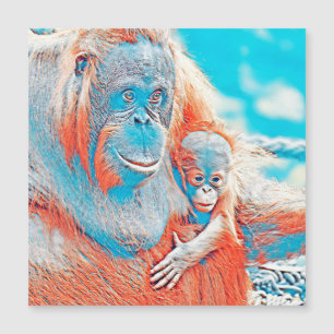 AnimalMix_OrangUtan_011