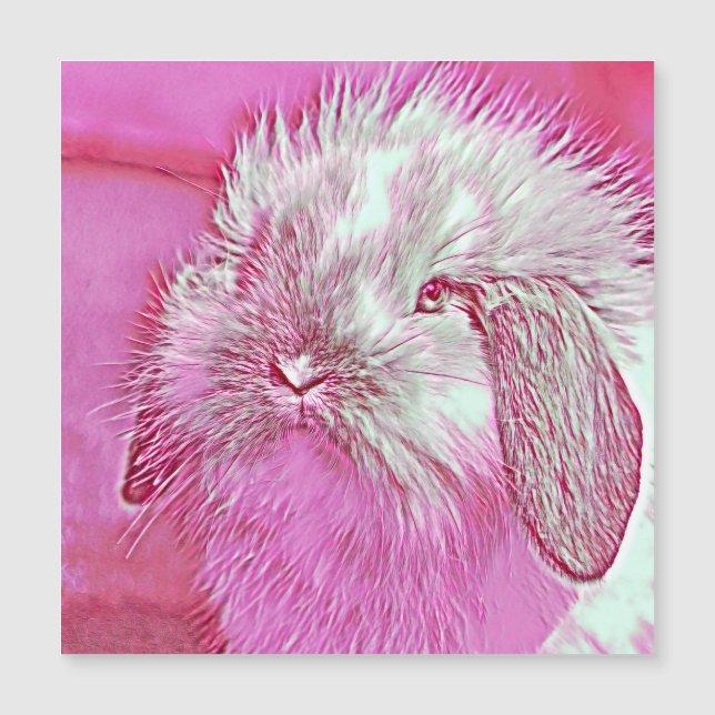 AnimalMix_Rabbit_008 (Anverso)