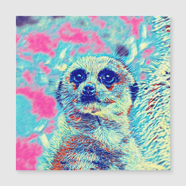 AnimalMix_Suricata_008 (Anverso)