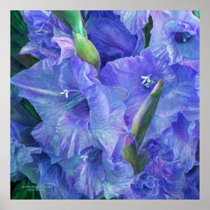 Ánimo de Gladiolus - Poster de arte de Lavender/Im