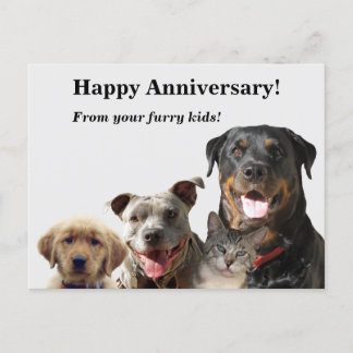 Aniversario de la tarjeta de Mascotas Adorables