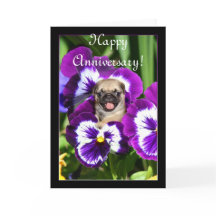 Aniversario feliz con tarjeta de pansies